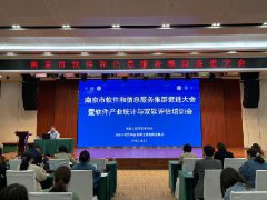 南京市软件和信息服务集群促进大会顺利召开